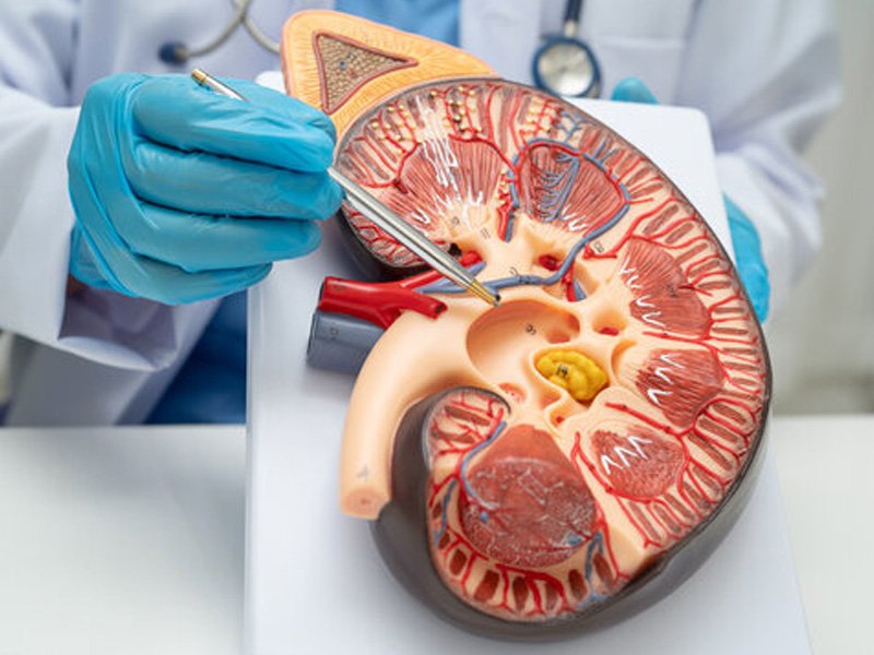 Kidney Function Checkup at Healing Sparshh UroGynae Clinic